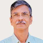 Diocese Representative